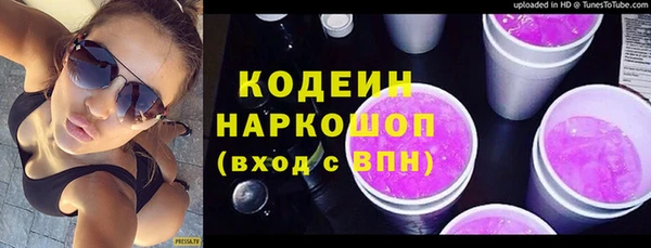 индика Снежногорск