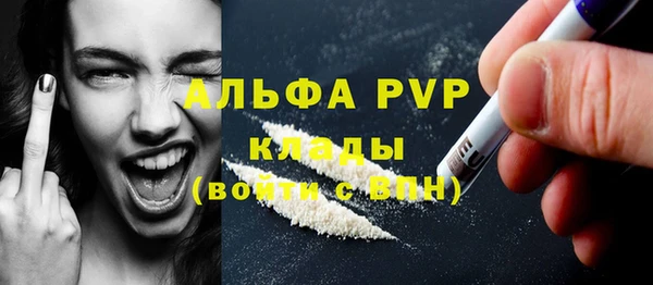 индика Снежногорск
