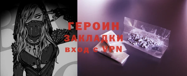 индика Снежногорск