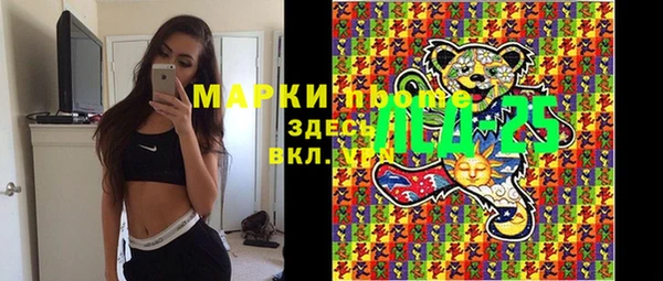 индика Снежногорск