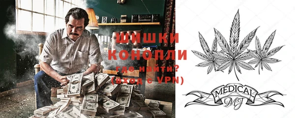 соль ск Снежинск