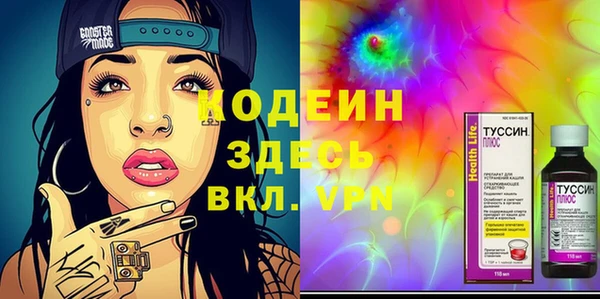 соль ск Снежинск