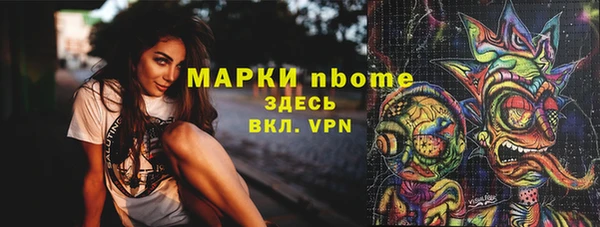 хмурый Алексин