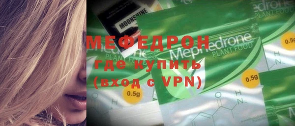 индика Снежногорск