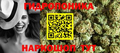 Альфа ПВП Волгодонск