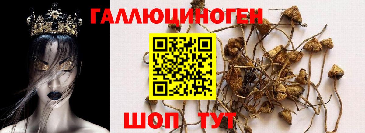 Кандалакша  Галлюциногенные грибы Cubensis  Галлюциногенные грибы Magic Shrooms  Вход с VPN 
